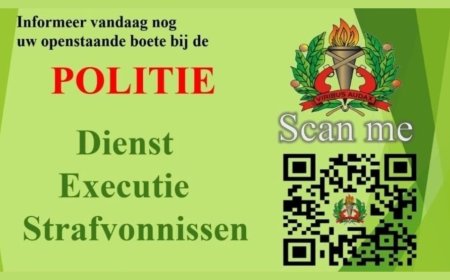 DES breidt uitvoering strafvonnissen uit