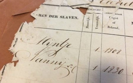 ‘Moeders maakten verschil tussen leven en dood tijdens slavernij’