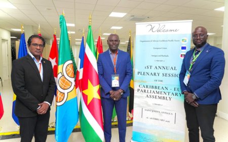 ‘Suriname moet structureel worden ondersteund voor koolstofdiensten’