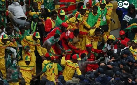 Negentien voetbalfans veroordeeld na rellen tijdens Afrika Cup-finale 2025