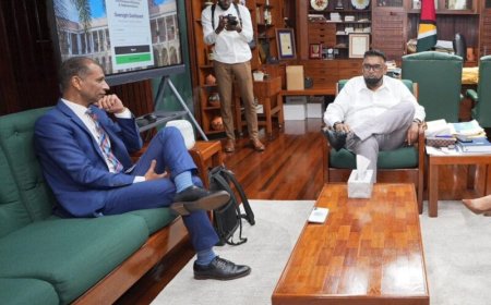 Brunings wil samenwerking met Guyana op gebied van gas-naar-energie