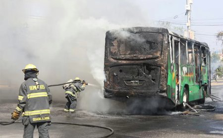 Mexicaanse kartelbaas 'El Mencho' gedood bij militaire inval