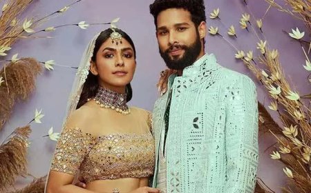 ‘Saandaar’: Mrunal Thakur & Siddhant Chaturvedi’s chemie redt de show
