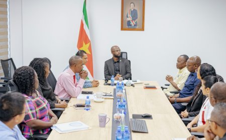 Nieuwe commissie beoordeelt vaccins tegen dengue en chikungunya