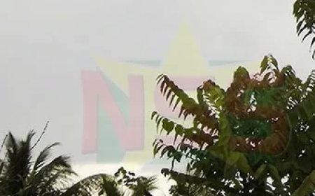 Overwegend droog met verspreide buien