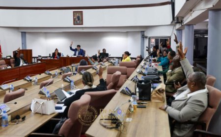 ALLEMAAL BOTER OP HUN OVERBETAALDE KOP