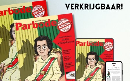 De vlinders van Voltz