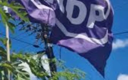 Paars zwijgt, macht beweegt: wanneer stilte het voorportaal van afrekening wordt  