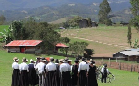 Mennonieten in Colombia vervolgd voor ontbossing