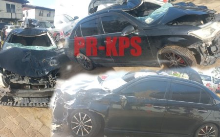 Loslopende koe dood gereden door autobestuurder