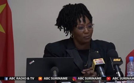 SOZAVO presenteert beleidskoers na zeven maanden Pokie