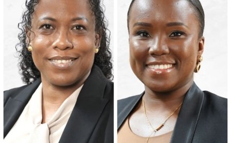 DNA-leden Cotino en Afonsoewa dienen interpellatievoorstel in inzake kwestie SZF en Wanica Zi