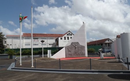 Herdenking 25 februari: Abrahams roept president op tegen misbruik idealen
