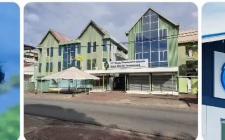 President Simons: Betrokken functionarissen SZF en Melkcentrale niet te handhaven