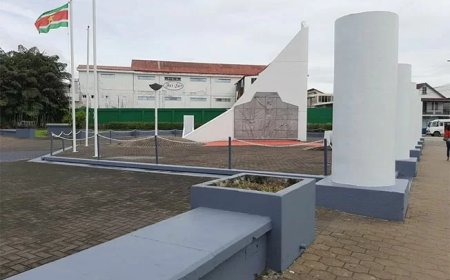 NDP: 25 februari blijft ideologisch fundament van de partij