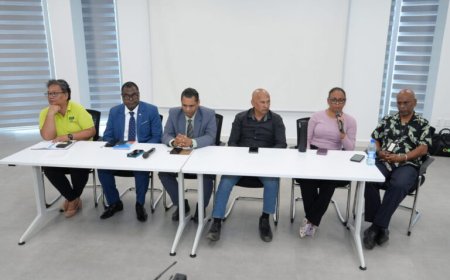 1.150 chikungunyagevallen en twee sterfgevallen