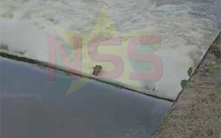 Drie Wakaypompen operationeel: water stroomt naar rijstpolders in Nickerie