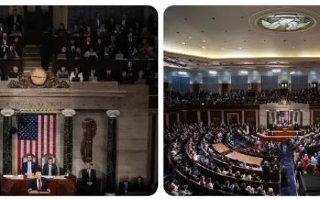 Trump houdt verdeelde toespraak voor het Congres