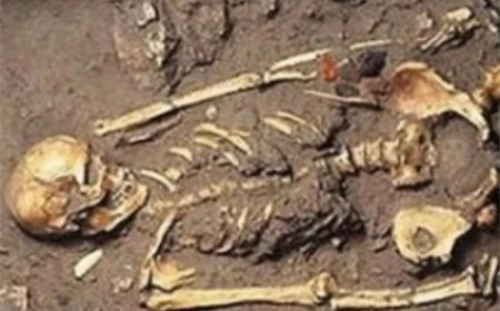 Skelet aangetroffen langs zijweg van Javaweg in Lelydorp