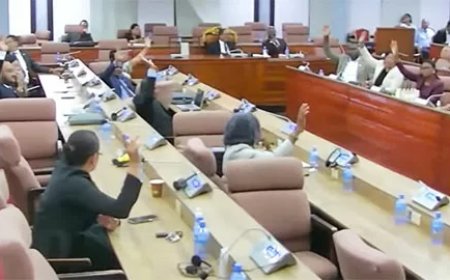 Motie over SZF en RZW unaniem aangenomen met 31 stemmen