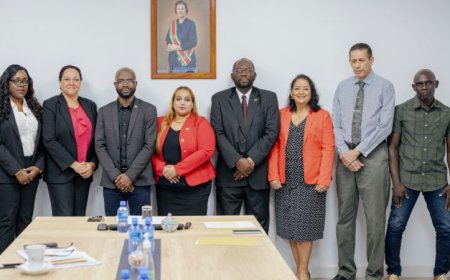 AZP onder verscherpt toezicht van nieuwe RvC