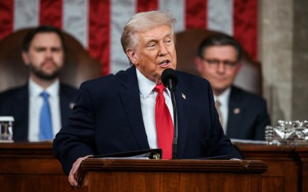 Trump en Democraten botsen fel tijdens State of the Union