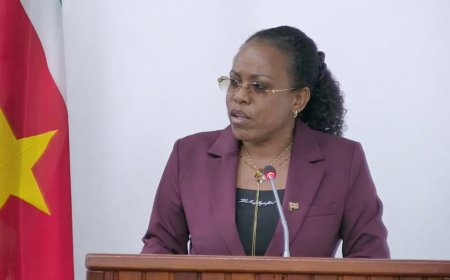 Cotino: “Er worden illegale kaarten gemaakt bij het SZF”