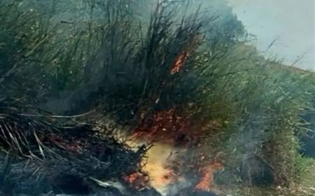 Grasbrand snel onder controle te Mattonshoop