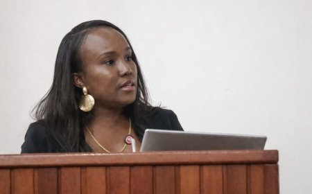 Afonsoewa dient wetsontwerp in tegen functiestapeling bij staatsbedrijven