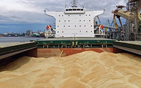 Historische graanoogst geeft Argentijnse economie boost