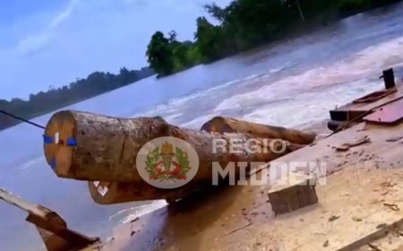 Truck met houtblokken op ponton belandt in Surinamerivier ter hoogte van Jaikreek