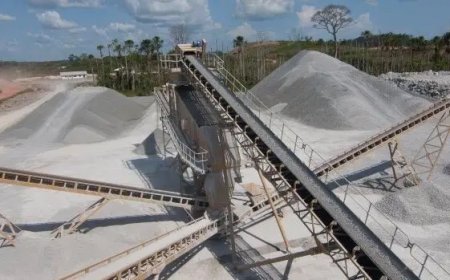 Staatsbedrijf Grassalco investeerde miljoenen in een niet-bestaande dochteronderneming – Deel