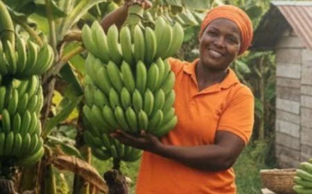 Essentiële bijdrage vrouwen in landbouw blijft onderbelicht