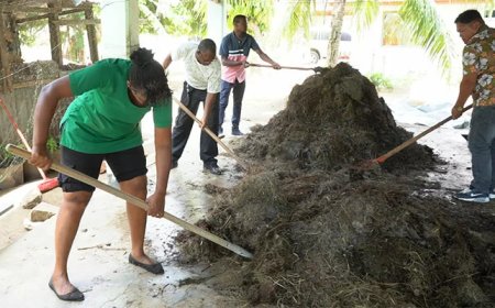 Toepassing van aangeleerde landbouwkennis nóg belangrijker dan training