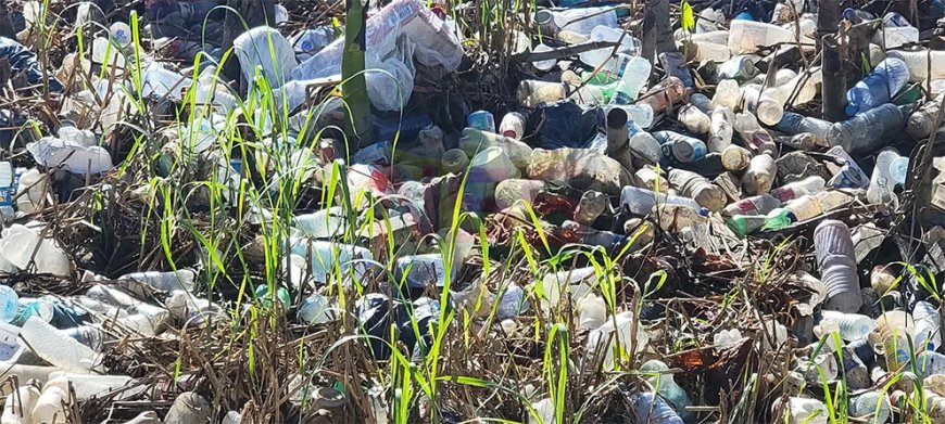 Column: Onze gezondheid begint bij onszelf: de strijd tegen chikungunya