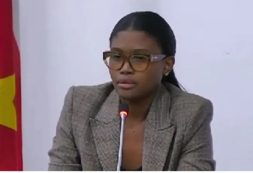 Open brieven politiek: wanneer het parlement zijn eigen huis overslaat