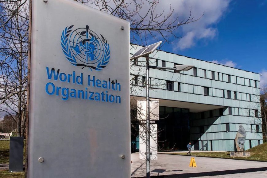 WHO acht risico op verspreiding Nipah-virus buiten India laag