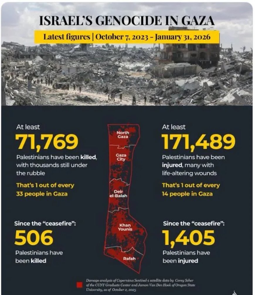 Dodental en Gewonden in Gaza sinds Begin van het Geweld