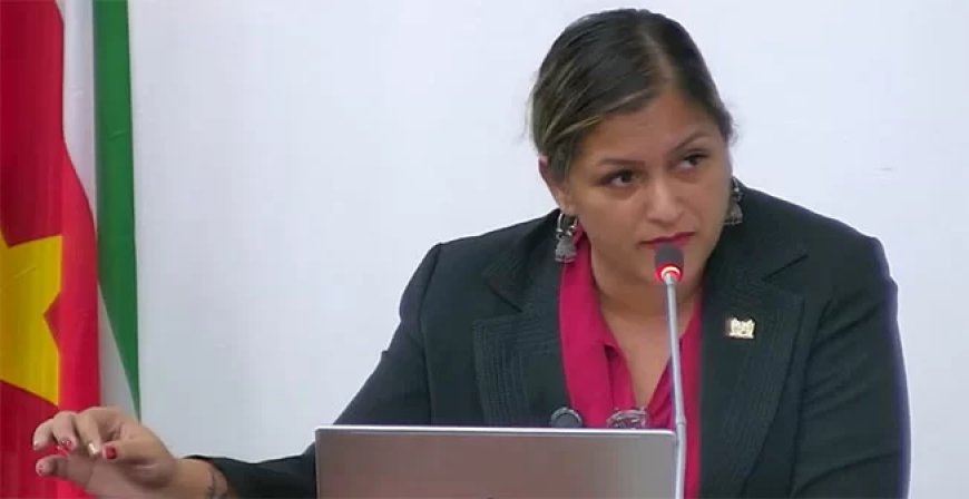 Opmerking Jarbandhan over ‘politieke kleur’ pg leidt tot commotie in DNA