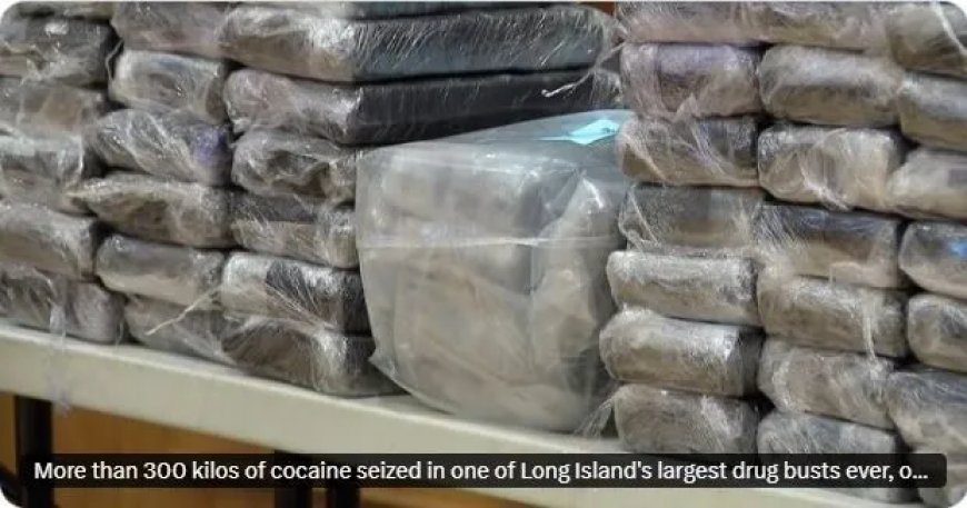 Meer dan 300 kilo cocaïne onderschept bij grootste drugsvangsten op Long Island
