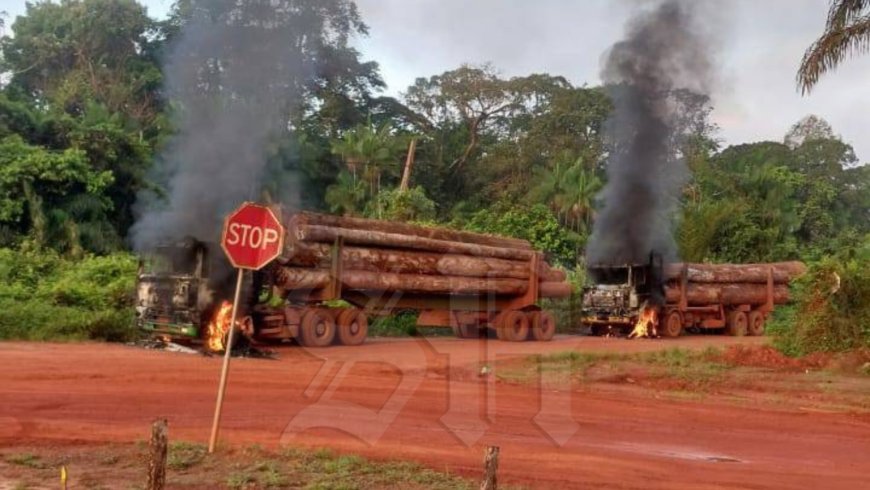 OM eist 12 maanden voorwaardelijk tegen 7 politieambtenaren in Pikin Saron-zaak