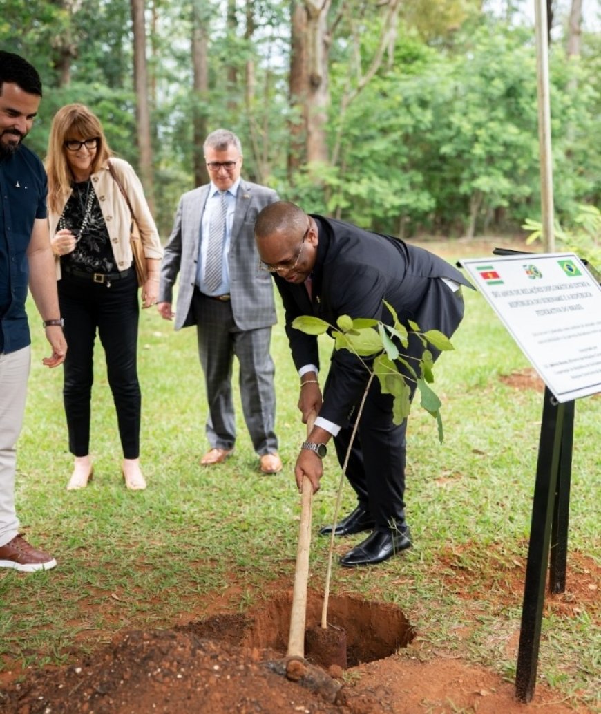 50 jaar diplomatieke betrekkingen Suriname en Brazilië: Bouva plant groenhartboom