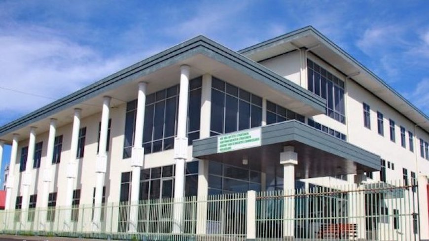 Patholoog licht bevindingen toe in zaak dood Mike Wolfgang