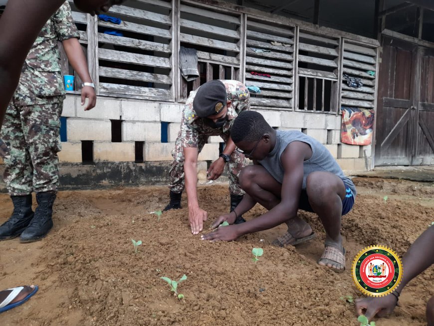 Zelf planten heeft voordelen en addertjes onder het gras