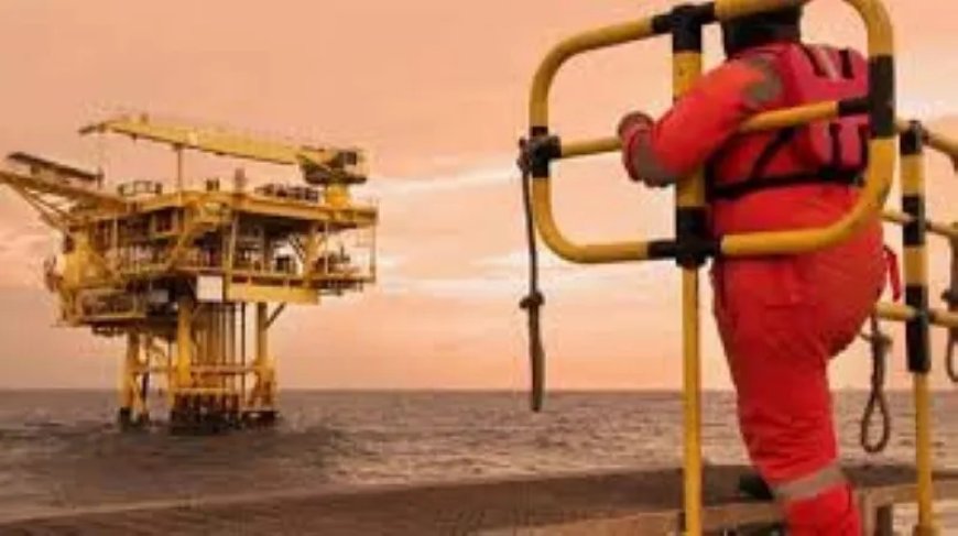 KMO’s en de nieuwe olie-industrie: kansen, uitdagingen en de weg vooruit  