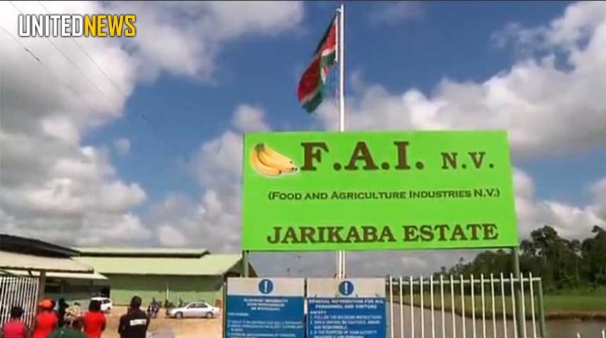 Rechter beveelt hechtenis ex-FAI-directeur in zaak verdacht van verduistering en vervalsing