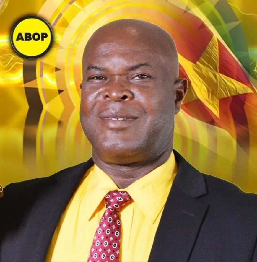 Brunswijk, redder van de vrijheid of laatste blokkade tegen de machtsgreep