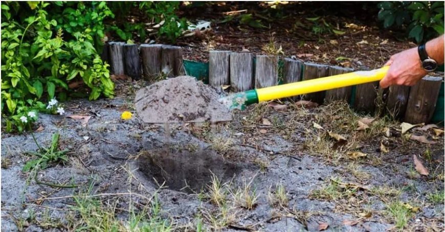 Man die zijn spaargeld in een sok in de tuin begroef, verslaat opnieuw Bitcoin