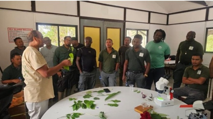 Tekort aan boomkenners aangepakt met intensieve opleiding 2025-2026