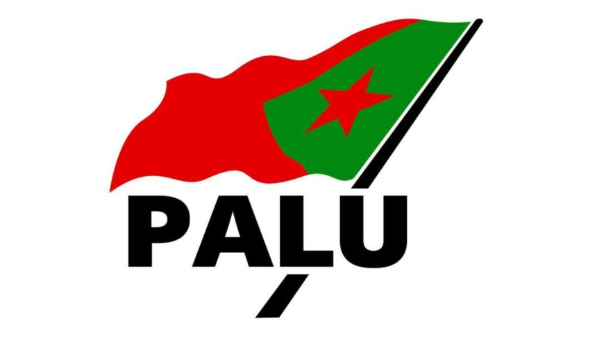 PALU roept DNA op behandeling initiatiefwetten rechtsstaat aan te houden